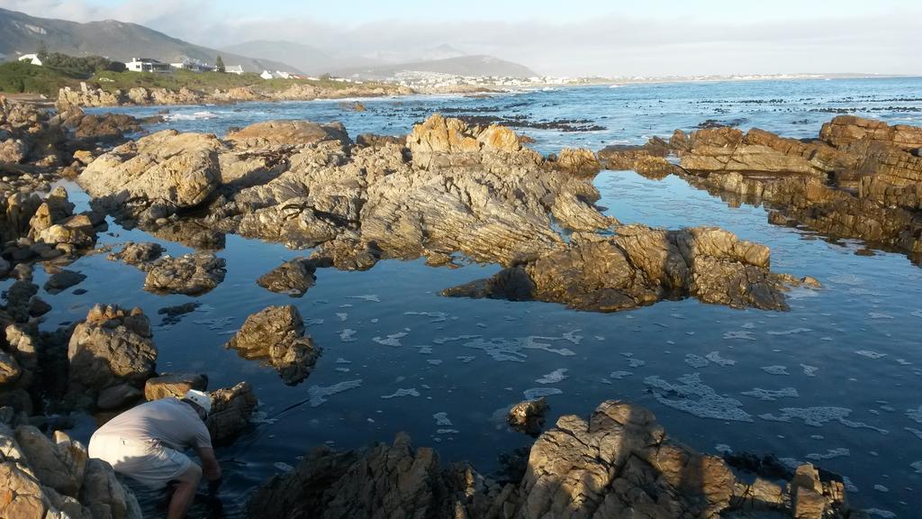 Strandloper Apartments Hermanus Exteriér fotografie